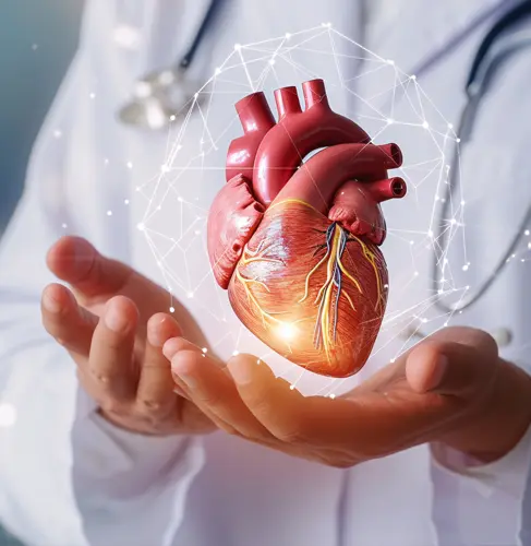 Cardiology