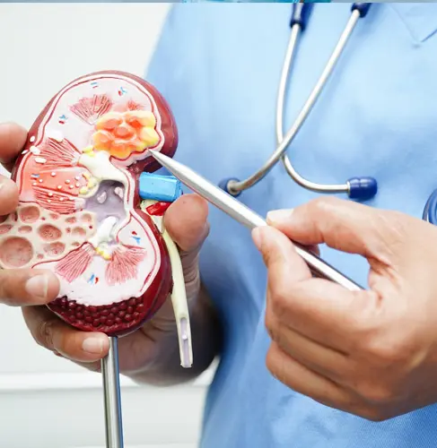 Nephrology
